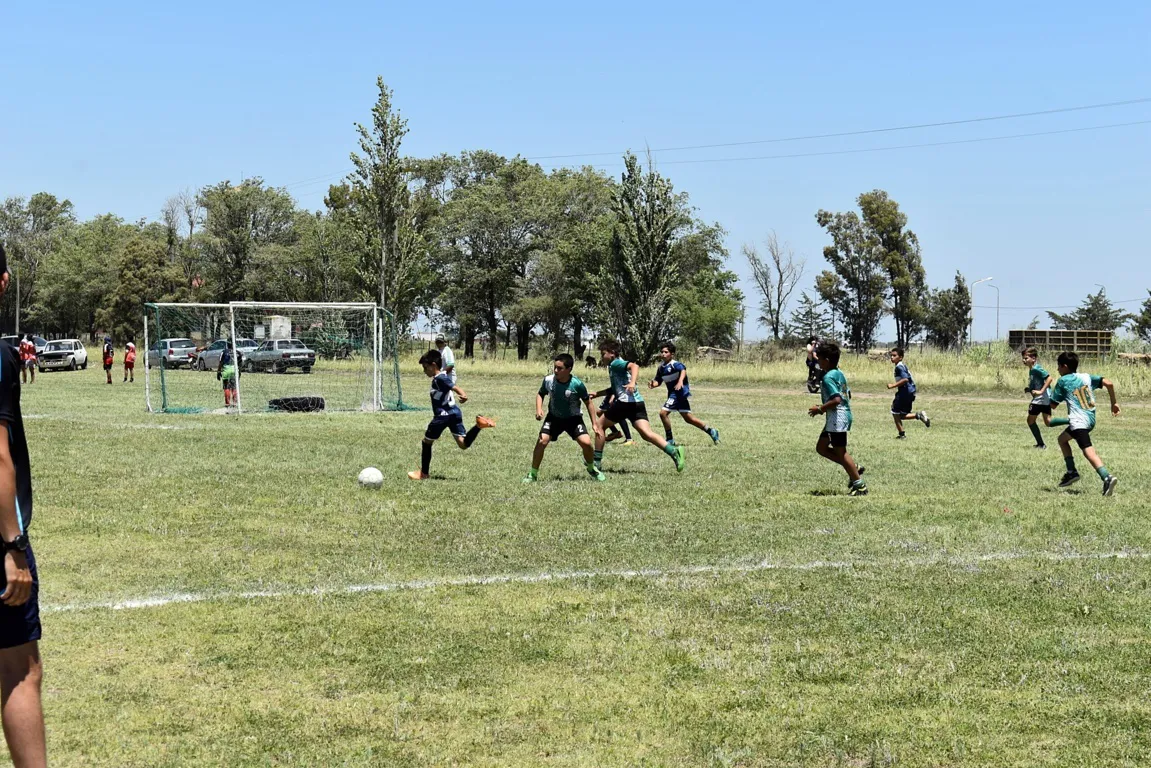 5-3-scaled (FILEminimizer)