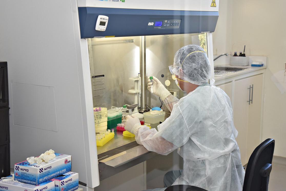 LABORATORIO MOLAS
