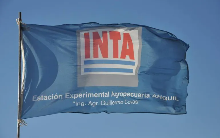 bandera INTA