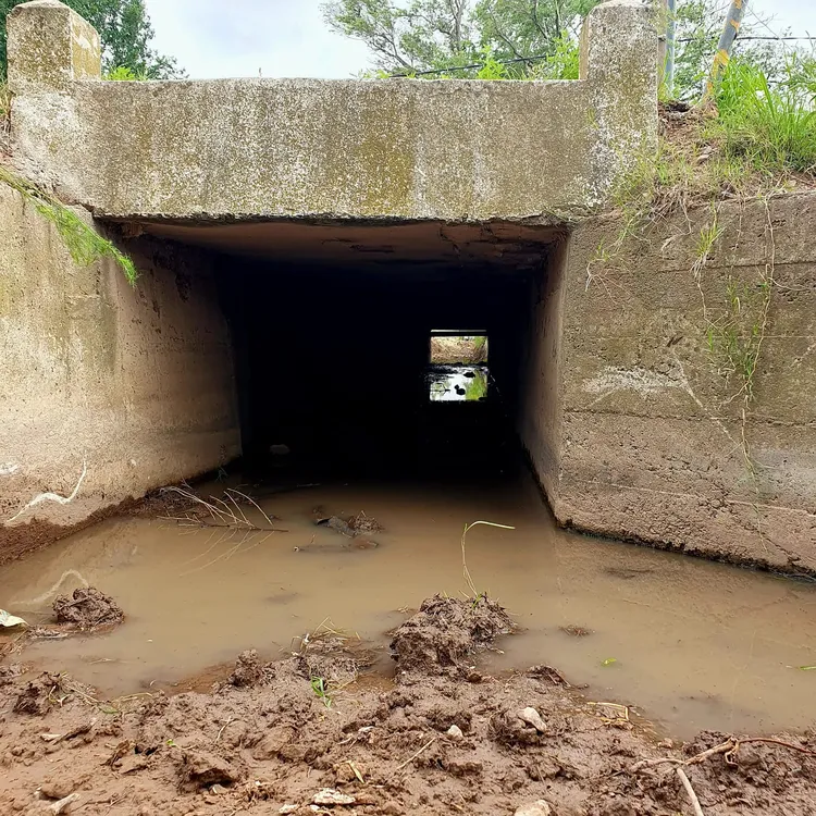 limpieza de canales 2 fs