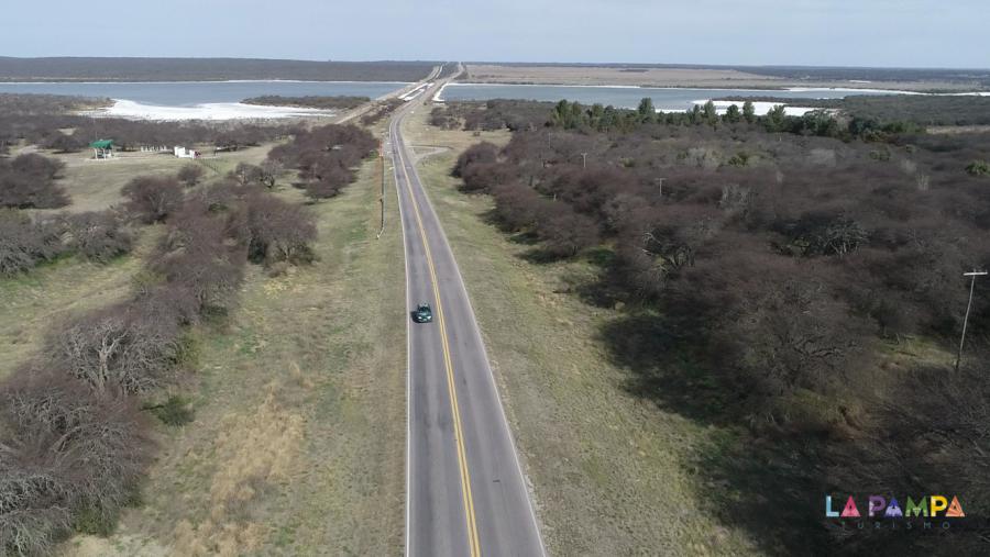 REACTIVACIÓN INVERNAL