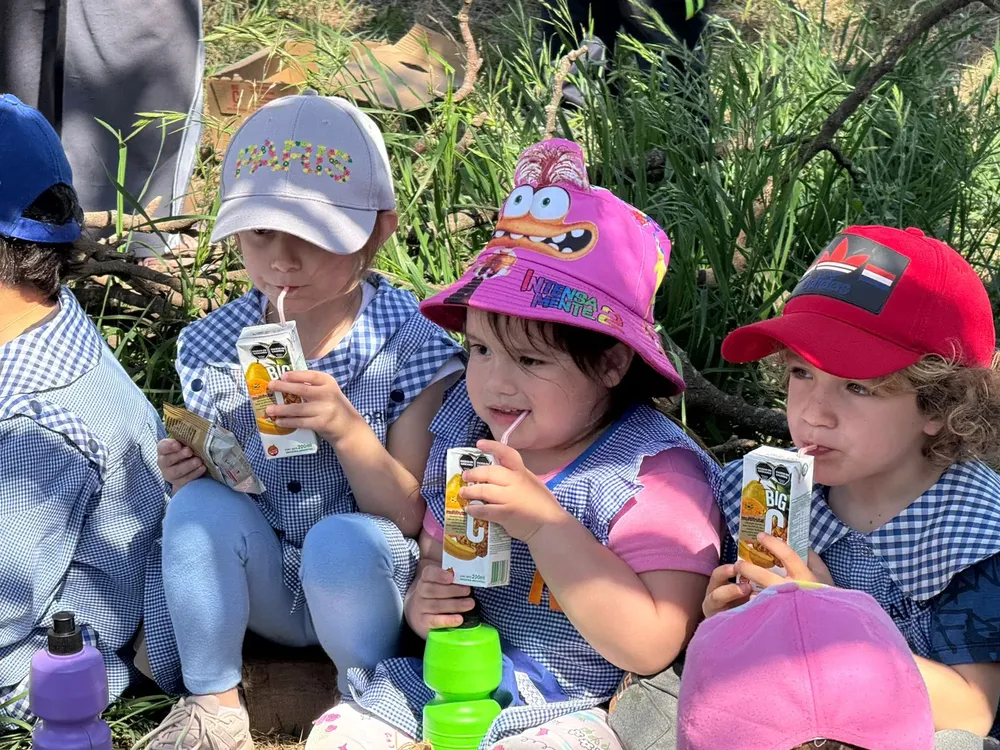 c19433e8-ec50-47f5-bca6-9a243a8fa0d8