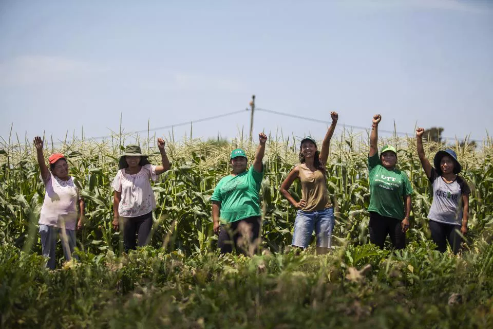 union trabajadores tierra