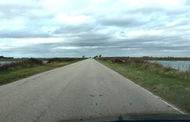 FB_IMG_1558958637254