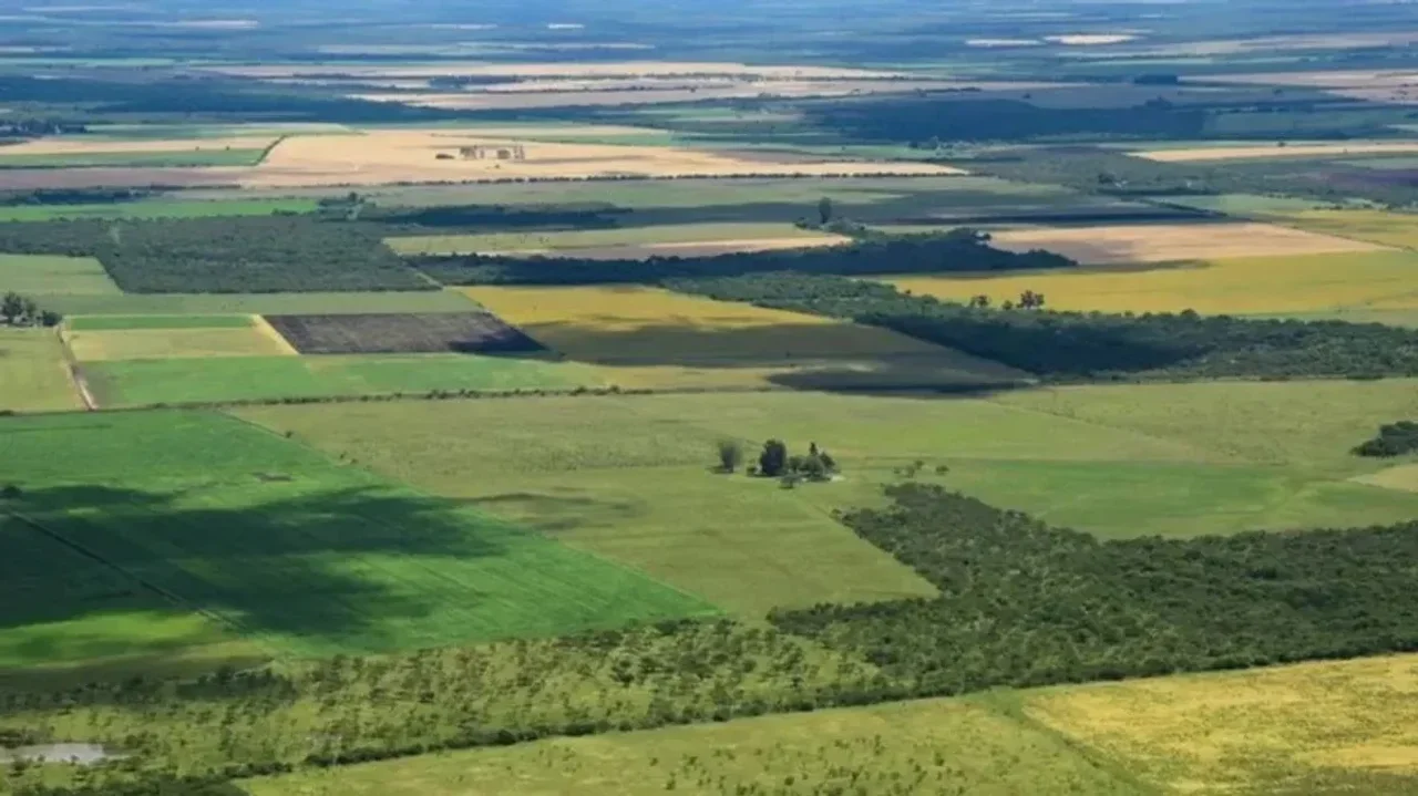 ley de tierras