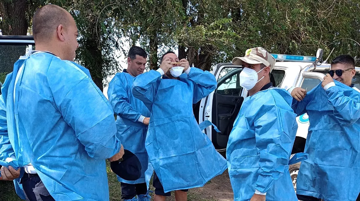 gripe aviar embajador 9