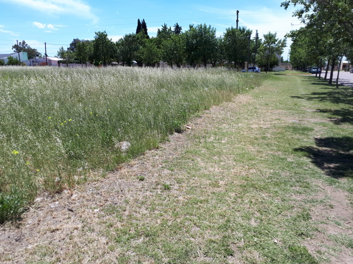 75327bf4-f7ba-4f5d-8cac-48aa663c569a