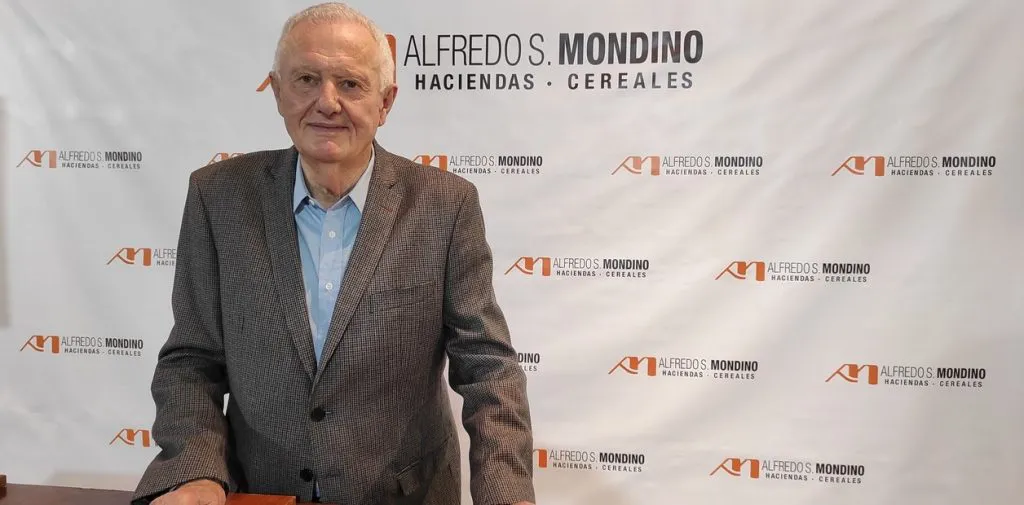 alfredo