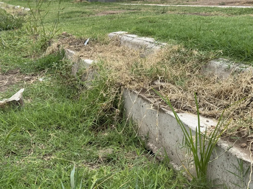 CALLE CENTRAL 30 VIVIENDAS 5 FILE