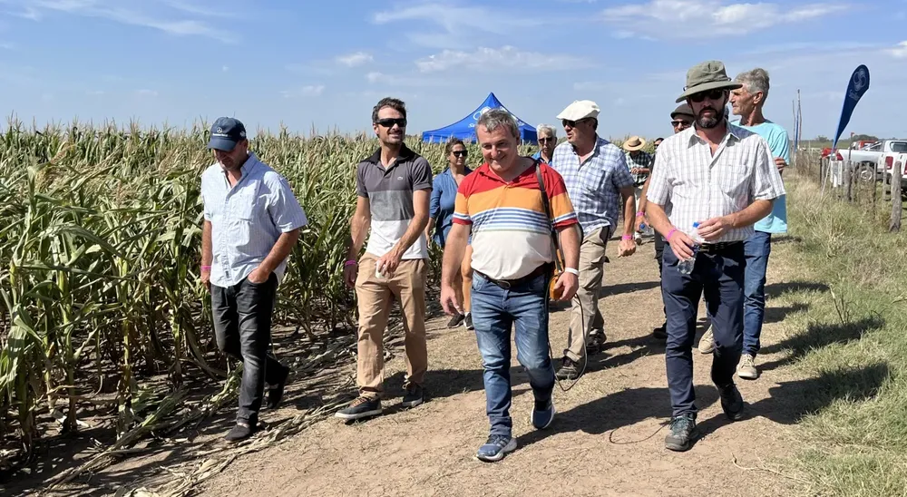 agronehuen 13 (FILEminimizer)