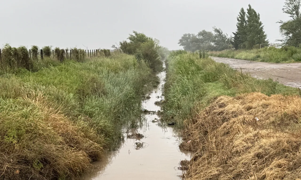 CANAL RIVADAVIA 3 FILE