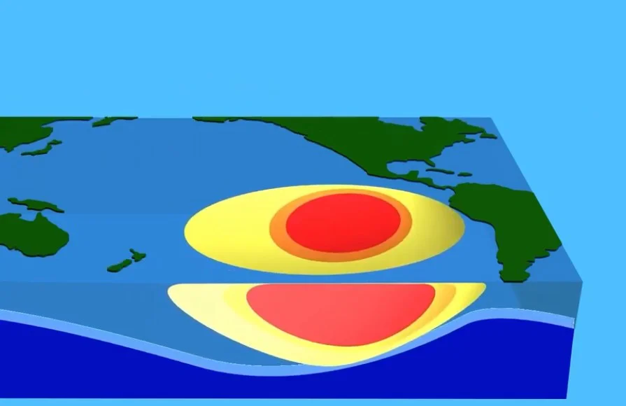 el niño