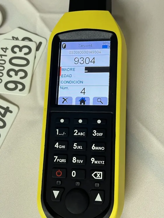 caravanas animal 6 (FILEminimizer)