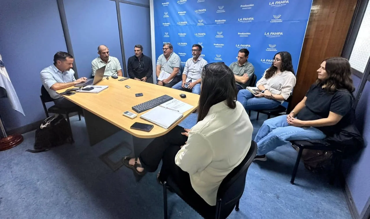 reunión calendario de vacunación