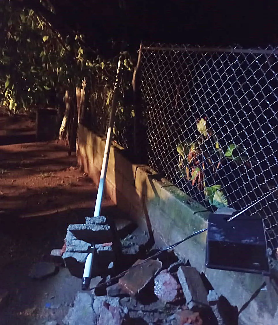 f6998ad0-7158-45d7-99a3-38e9afe50bb1