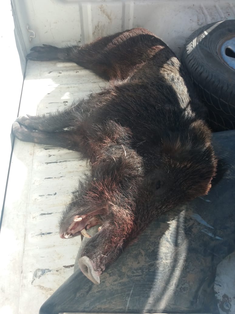 16ba03c6-d02a-46de-bad0-443d8dfa08e1