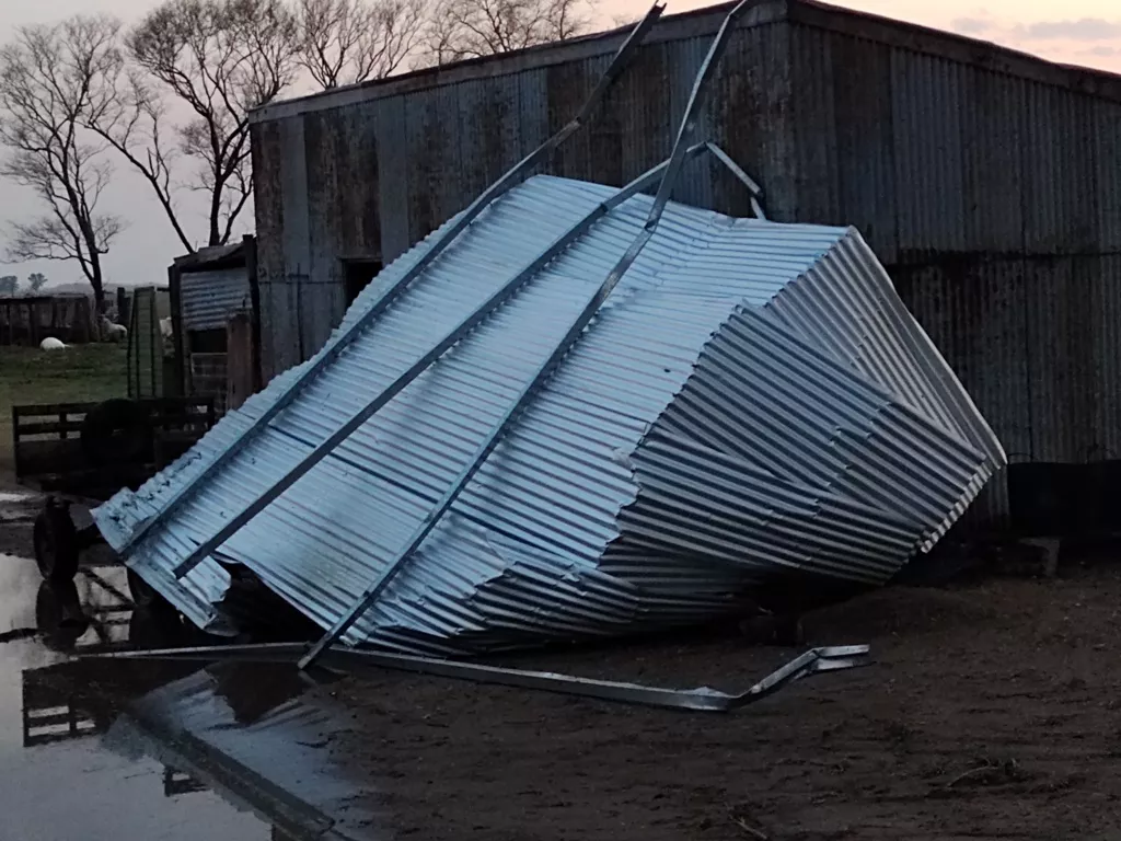 IMG_20210831_191601572 (FILEminimizer)