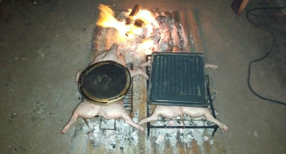 lechones
