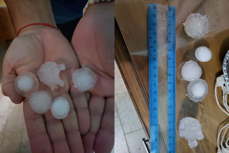 multimedia.normal.abc692eb6ac8cae0.7065647261737373665f6e6f726d616c2e6a7067