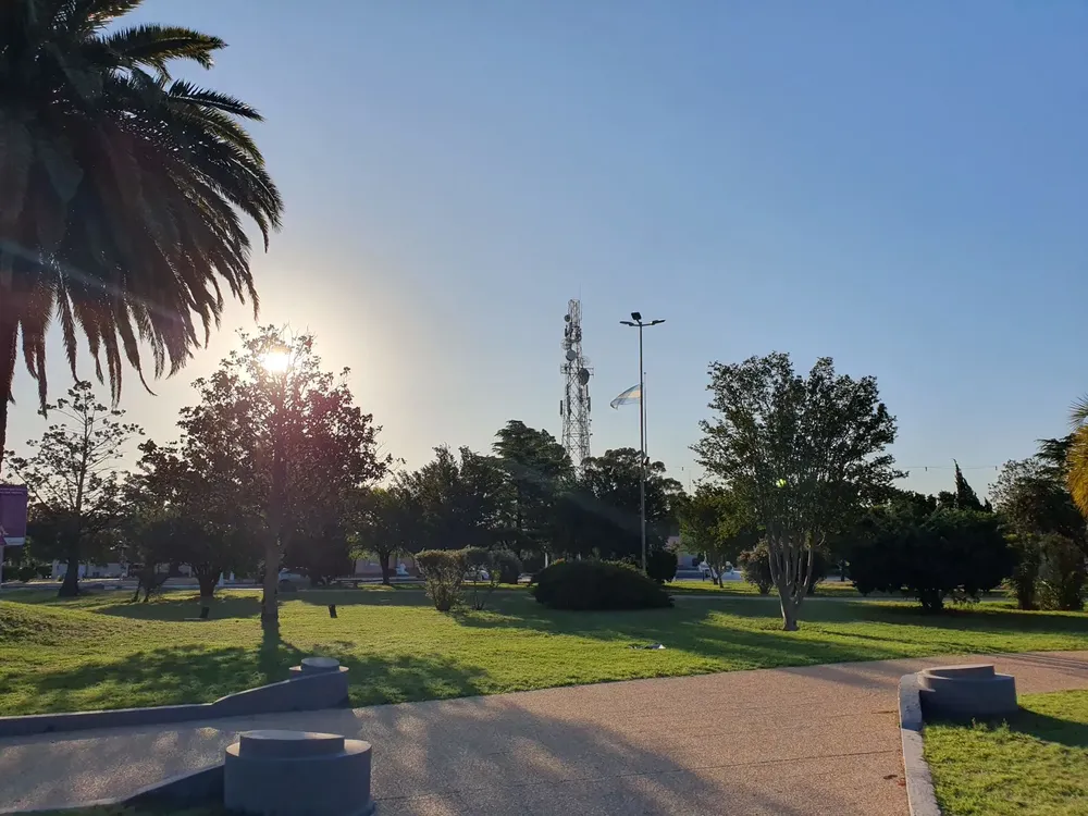 WhatsApp Image 2025-01-12 at 9.16.23 AM