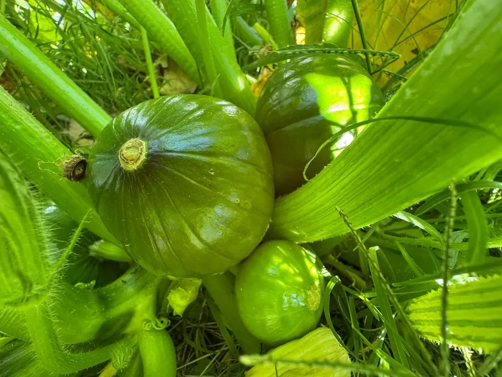 6970020A-2C84-49A7-96F9-8560A25F0F81