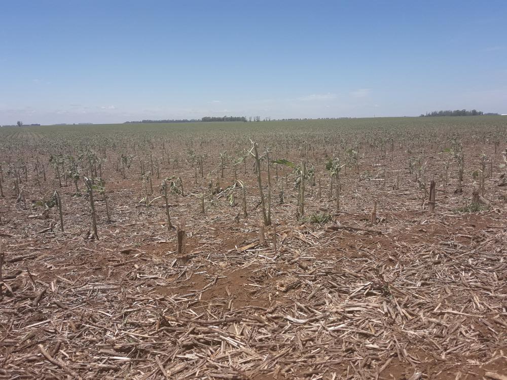 IMAGENES DE LOS DESATRES DE TORMENTA 024