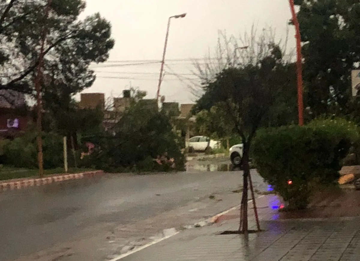 1ac8e919-24bf-42de-acde-c47840742308