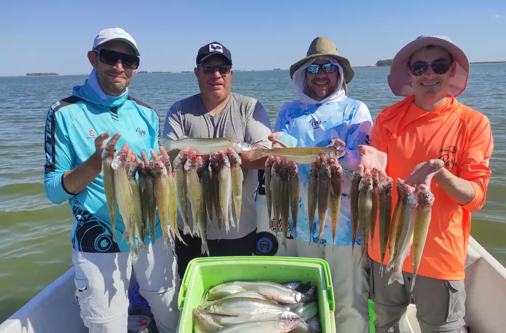 aa a pesca