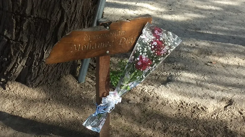 Mohamed Diaz flor