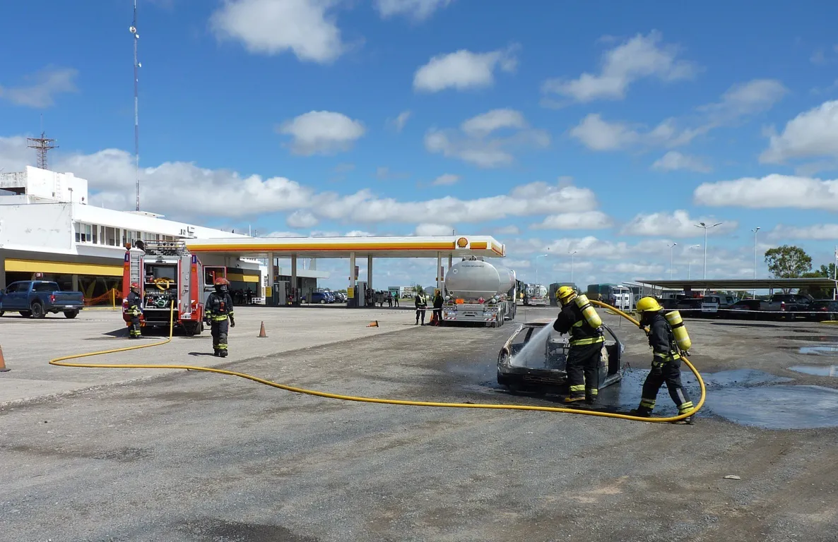 simulacro shell 8 FILE