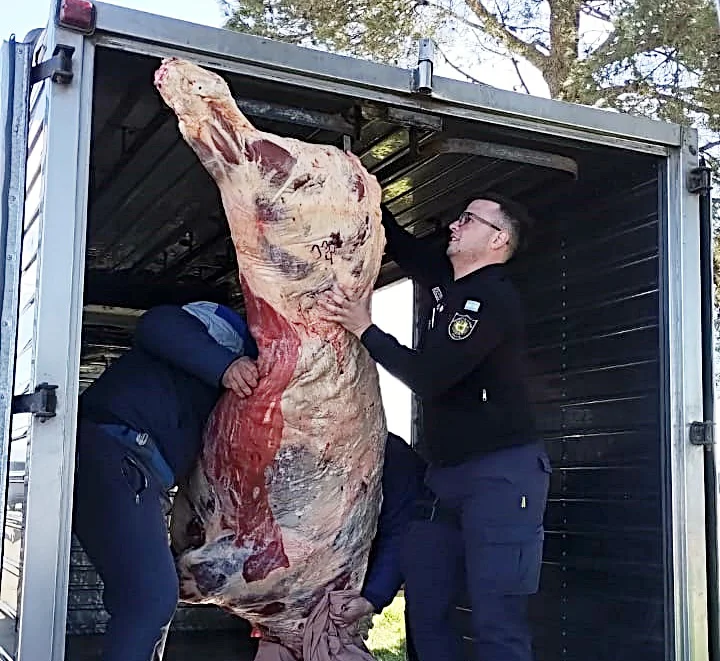 destruccion carne decomisada 2