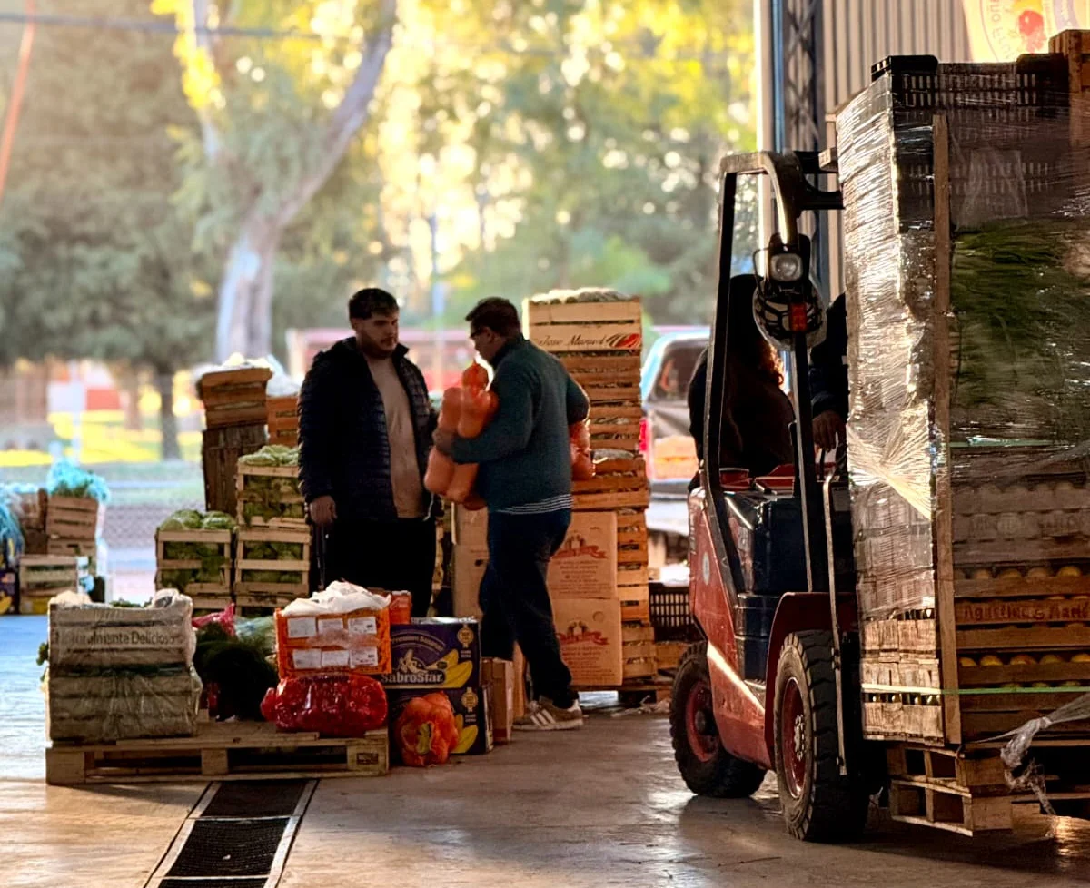 mercado concentrador 3