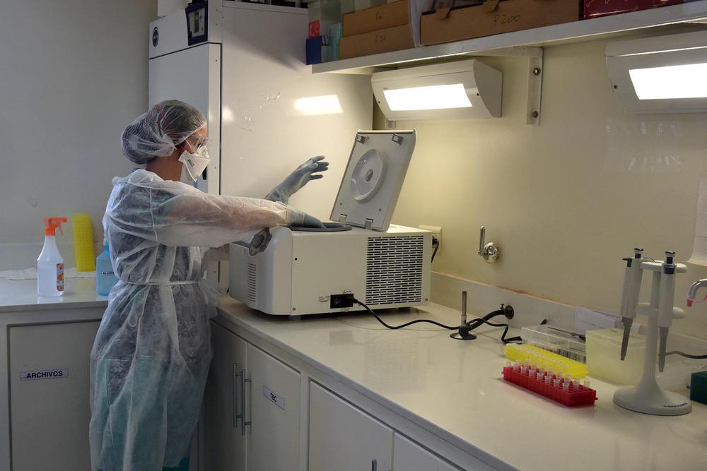 LABORATORIO COVID 7
