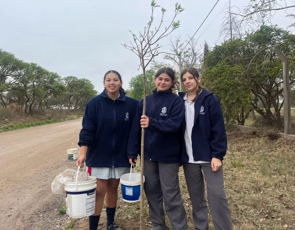 IPSF ARBOLES 2 (FILEminimizer)