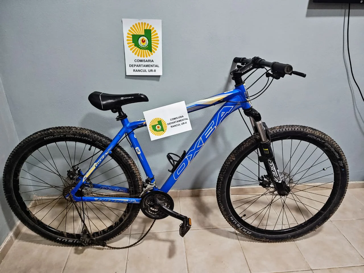 BICI ROBADA QUETREQUÉN
