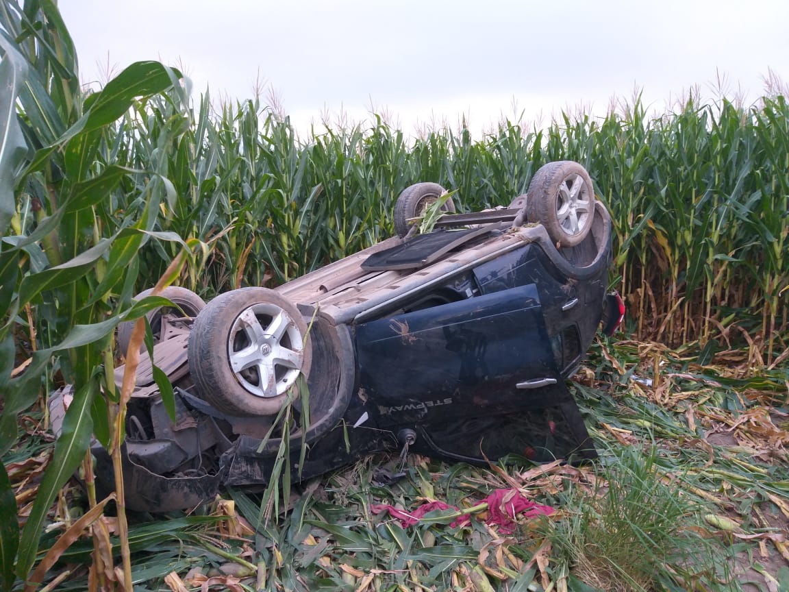 232d8e49-d0db-44e9-a3ed-860d923b1e65