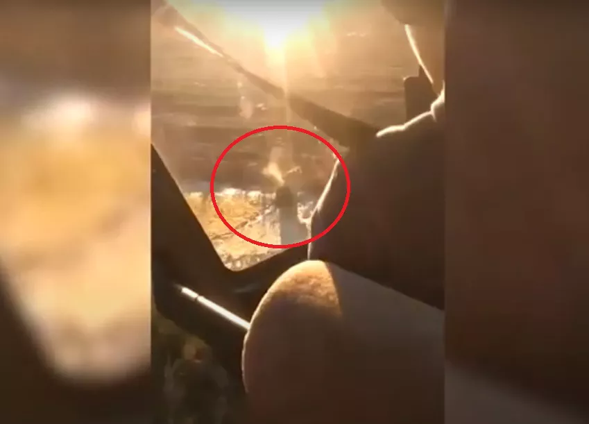 cazando jabalies desde helicoptero