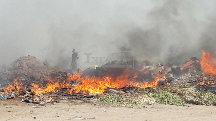 20180120_154551 (FILEminimizer)