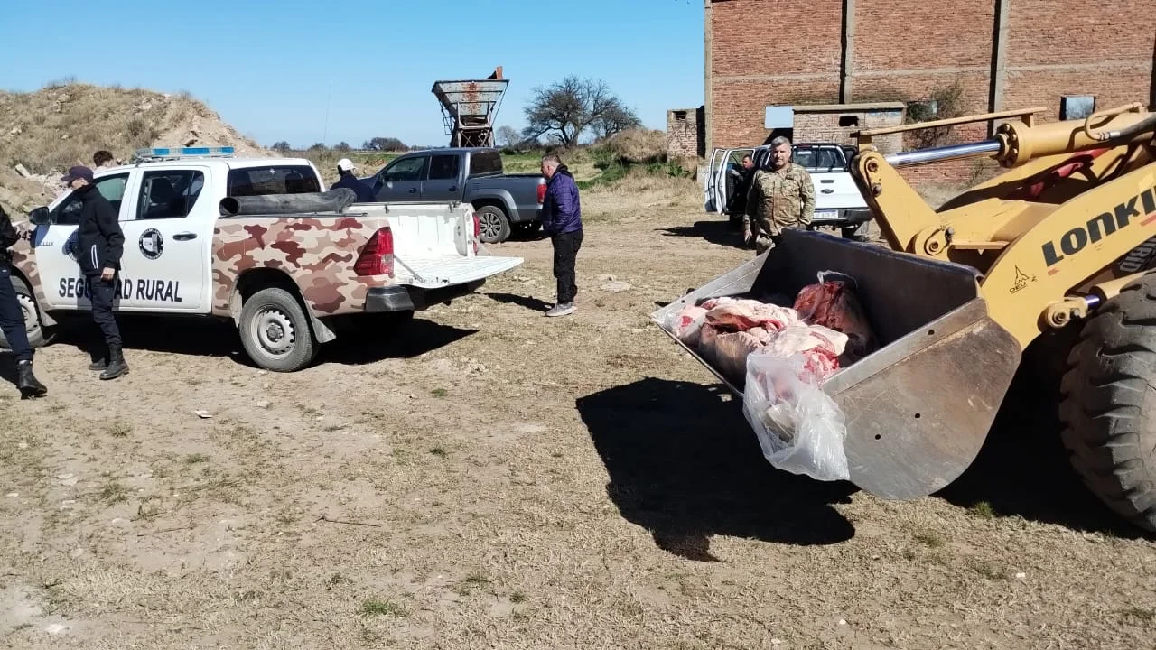 destruccion carne decomisada 4