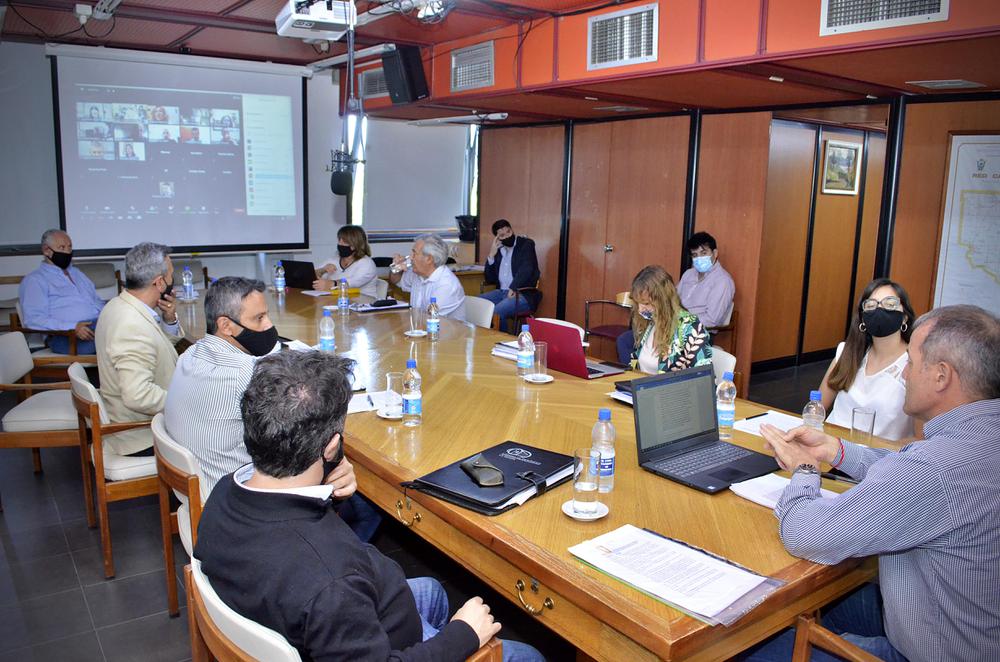 Plenario Plaguicidas