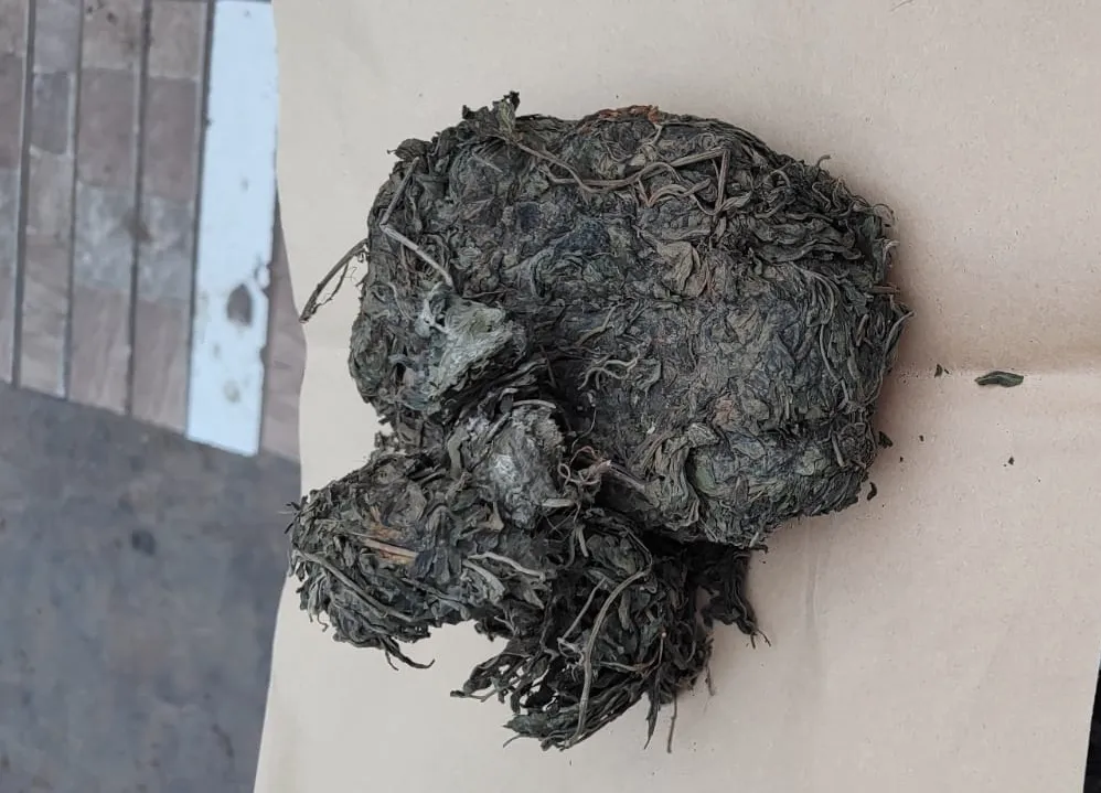 DROGAS 2