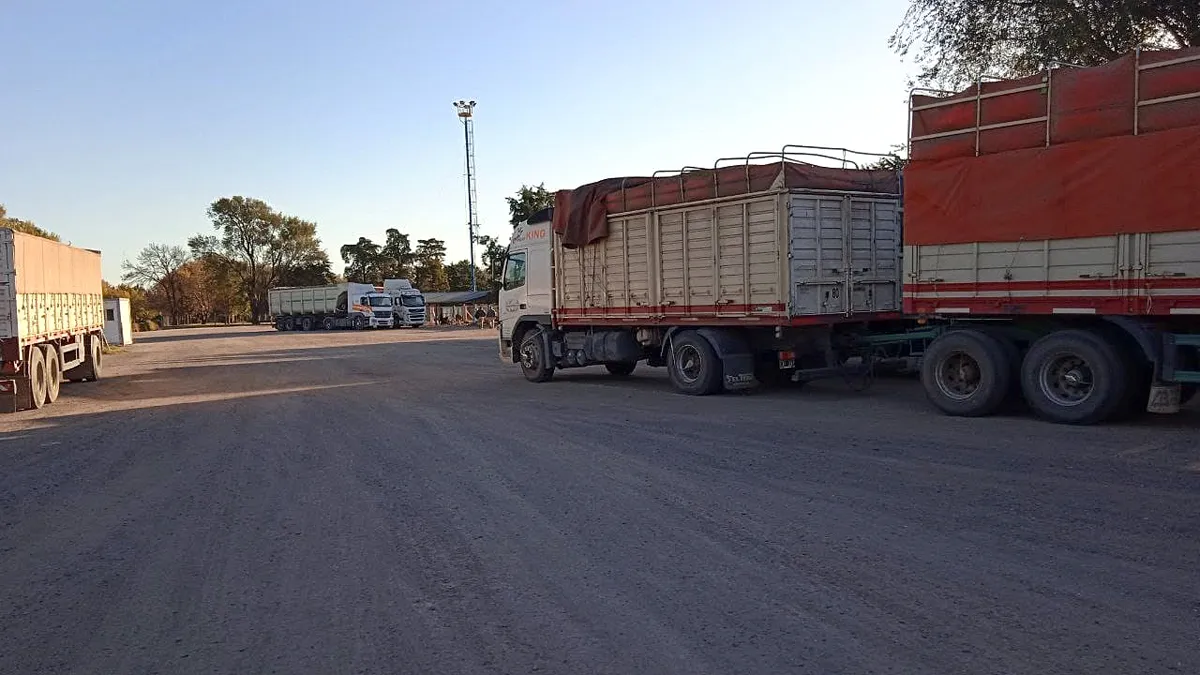 camion mani