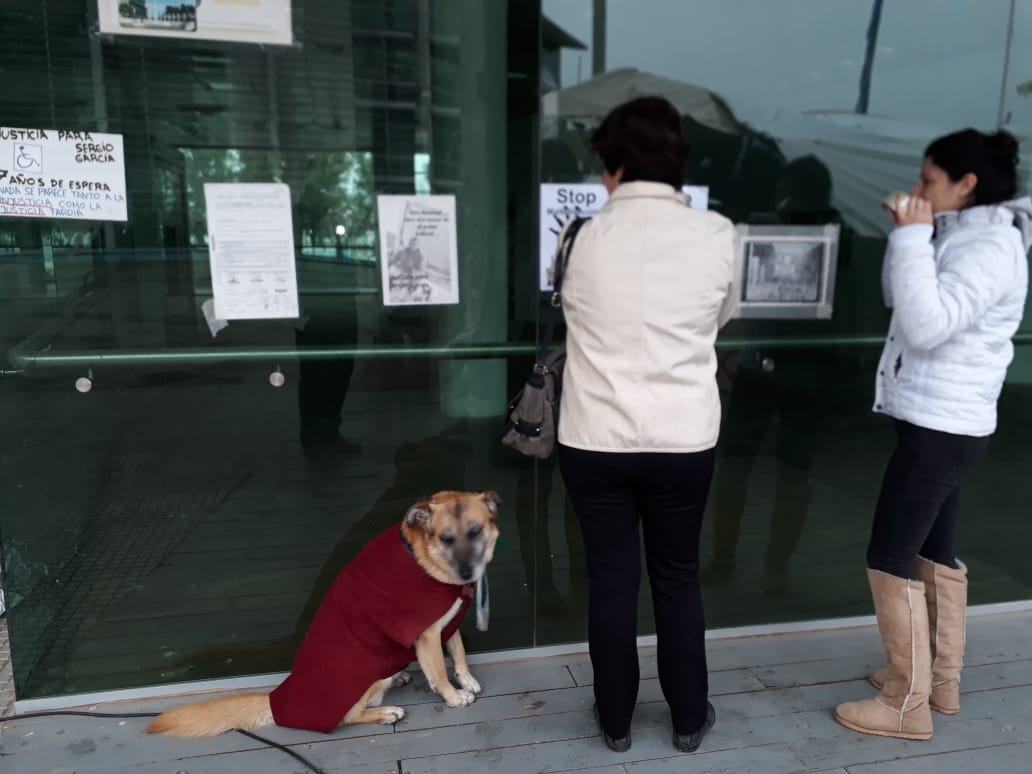 protestapormaltratoanimal-22