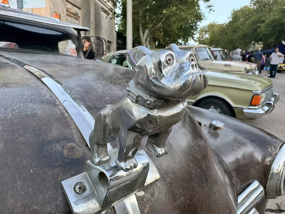 norsur realico 2026 19 c