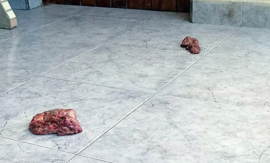 2aa669ec-1f7f-4921-b53f-5dff48070462