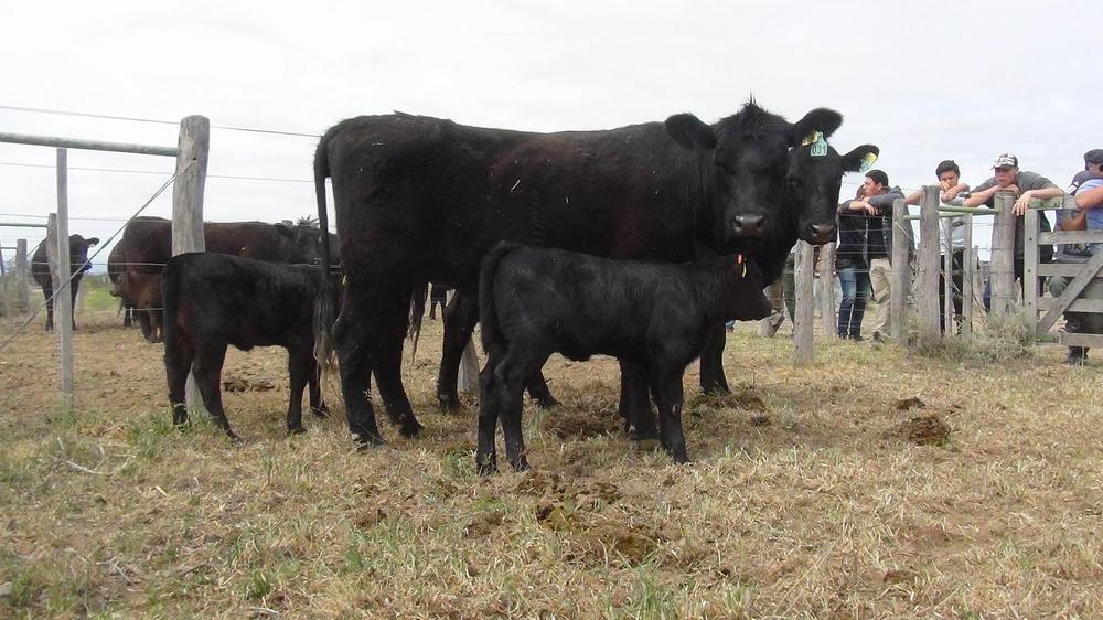 354390_resize-of-dsc03202