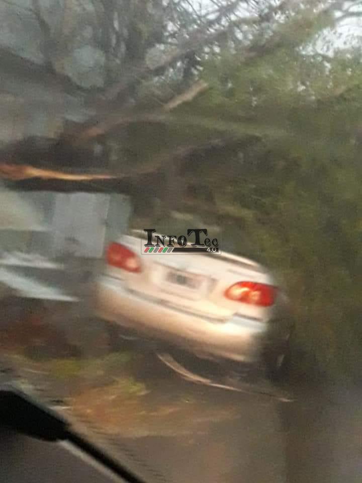 9ab300f8-ff2e-4f05-a9fe-f64c84945d26