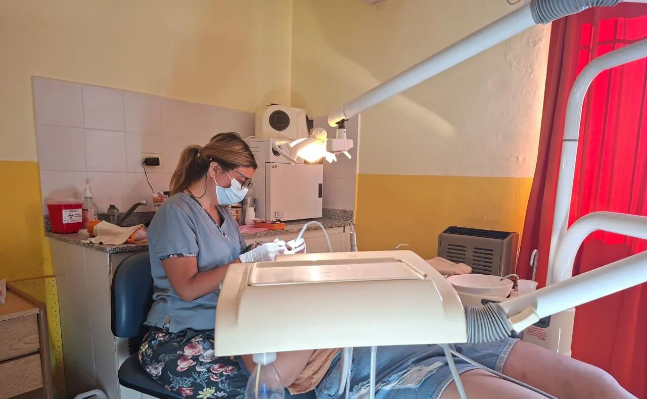 profesionales oeste pampeano 1