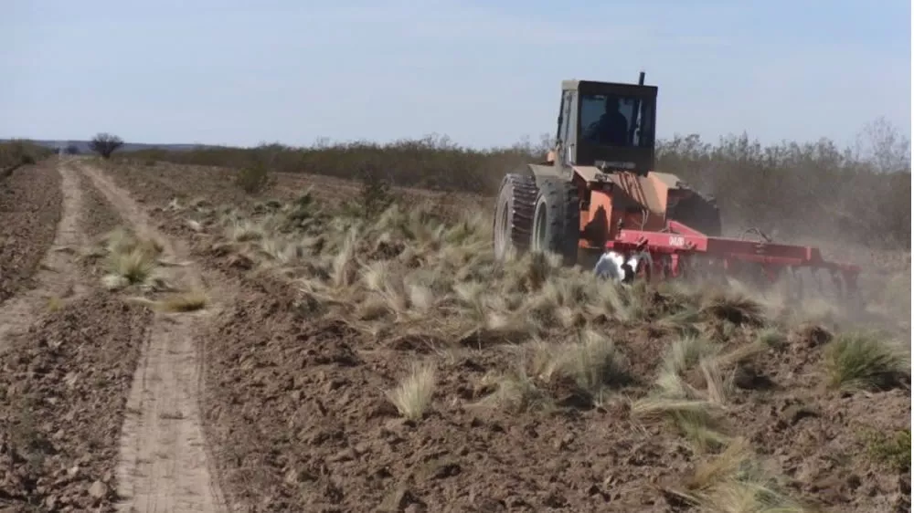 92651_whatsapp-image-2022-09-29-at-15.03.29