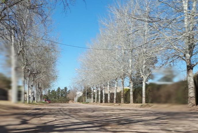 Calle de tierra